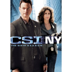 CSI NY - TEMPORADA 6 - DVD