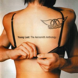 AEROSMITH  ANTHOLOGY 2 CDs