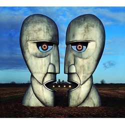 Pink Floyd  - The Division...