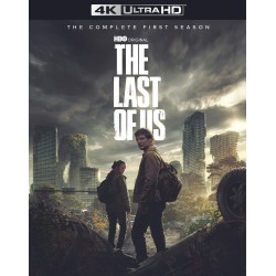 The Last of Us 4k