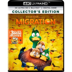 Migration Pavos 4k