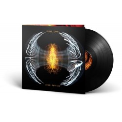 Pearl jam Dark Matter LP