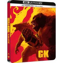 Godzilla y Kong El nuevo...
