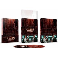 The Cabin in the Woods...
