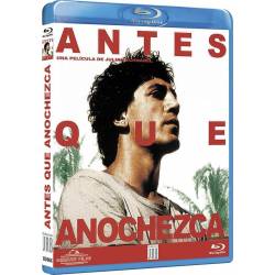 Antes que Anochezca