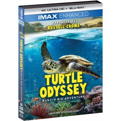 Turtle Odyssey 4K