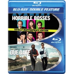 Horrible Bosses - Due Date