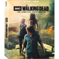 Walking Dead - Temporada 10